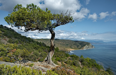 Similar image 22268675