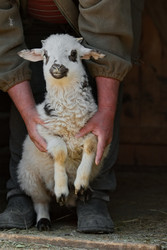 Similar image 22268677