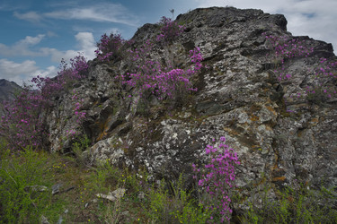 Similar image 22273202