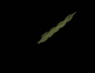 Similar image 22269409