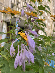 Similar image 22259979