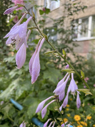 Similar image 22259980