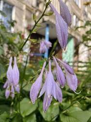 Similar image 22259981