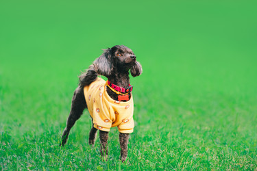 Similar image 22259835