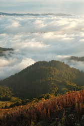 Similar image 22259843