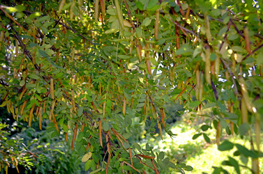 Similar image 22273309