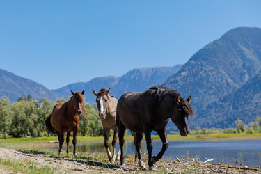 Similar image 22282563