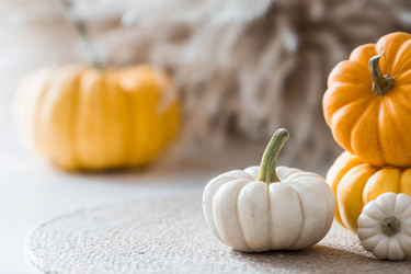 Similar image 22270904