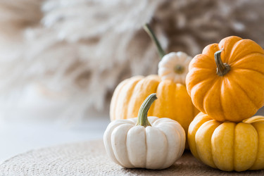 Similar image 22270906