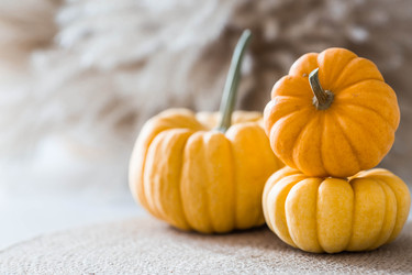 Similar image 22270907