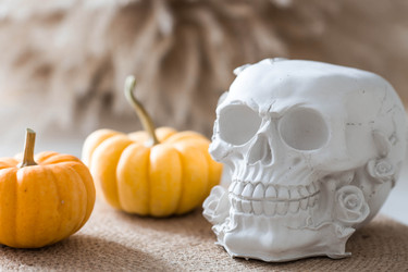 Similar image 22270910