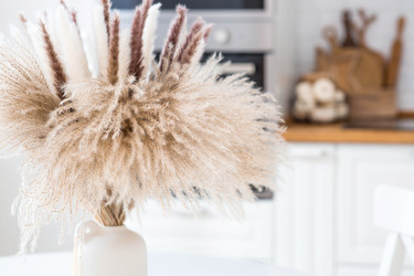 Similar image 22271024