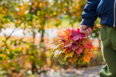 Similar image 22271046