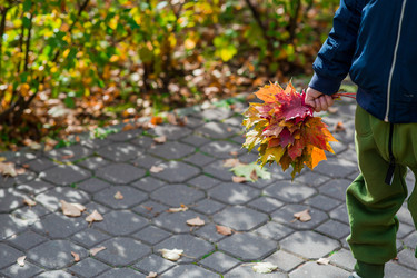 Similar image 22271047