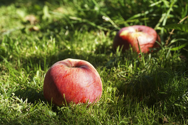 Similar image 22259845