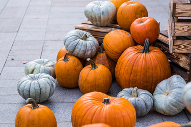 Similar image 22271051