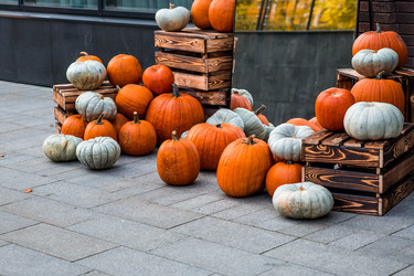 Similar image 22271054