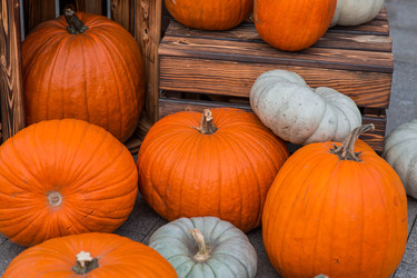 Similar image 22271056