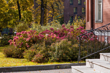 Similar image 22271061