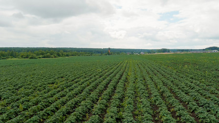 Similar image 22270274