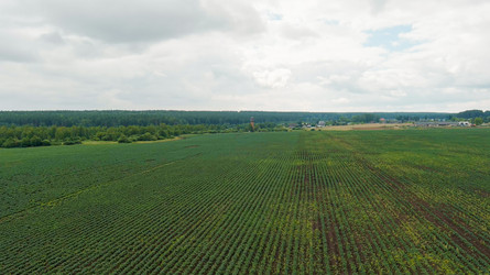 Similar image 22270275