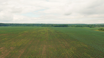 Similar image 22270277