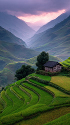 Similar image 22268880