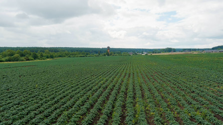 Similar image 22270290