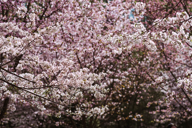 Similar image 22270916