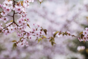 Similar image 22270926