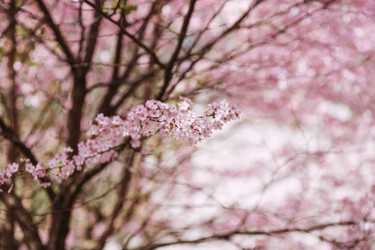 Similar image 22270927