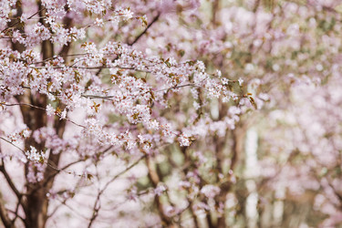 Similar image 22270928