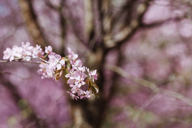 Similar image 22270930