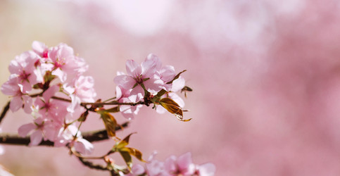 Similar image 22270931