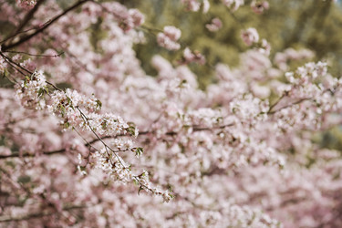 Similar image 22270932