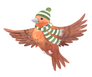 Similar image 22260053