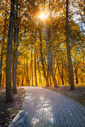 Similar image 22277157