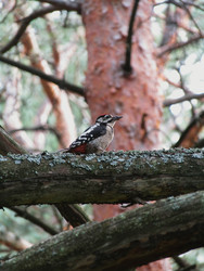 Similar image 22282666