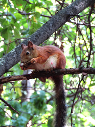 Similar image 22282667