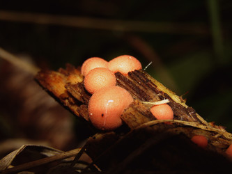 Similar image 22281264