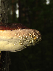 Similar image 22281265