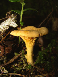 Similar image 22281266