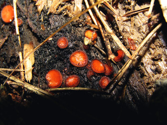 Similar image 22281927