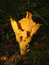 Similar image 22281268