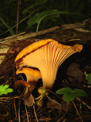 Similar image 22281269