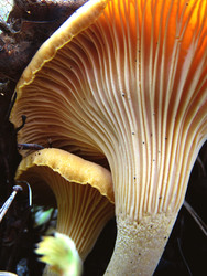 Similar image 22281270