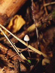 Similar image 22282668