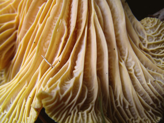 Similar image 22281271