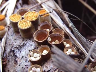 Similar image 22281272