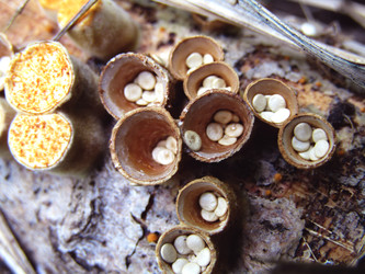 Similar image 22281273